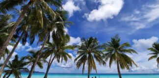 First In Years: Philippines Posts Travel Surplus In 2023