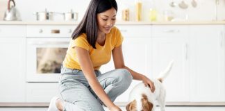 What’s Really In the Bowl? Why Pet Parents Deserve More than an Ingredients List